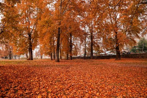 6c614i9d956tcf6ax0pa3as44fq7 shutterstock 775727773 10mb