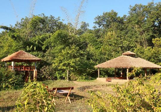 Camping in Jim Corbett Image