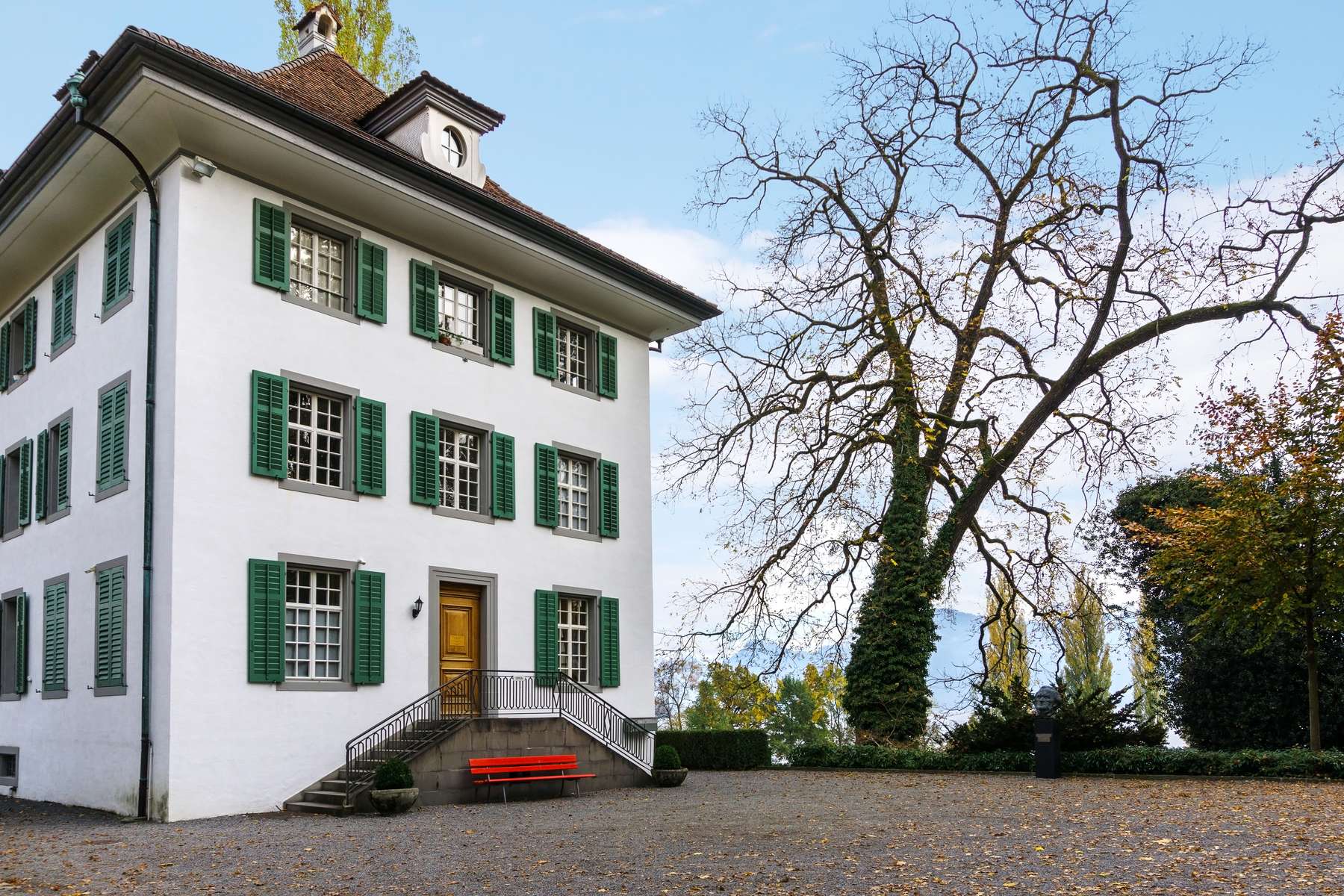 Panorama Yacht Saphir in Lucerne Image