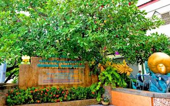 6eajvp66th7eug2sn6kroob2uvxo licensed image