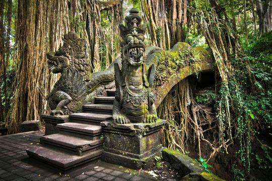 Monkey Forest Ubud Image