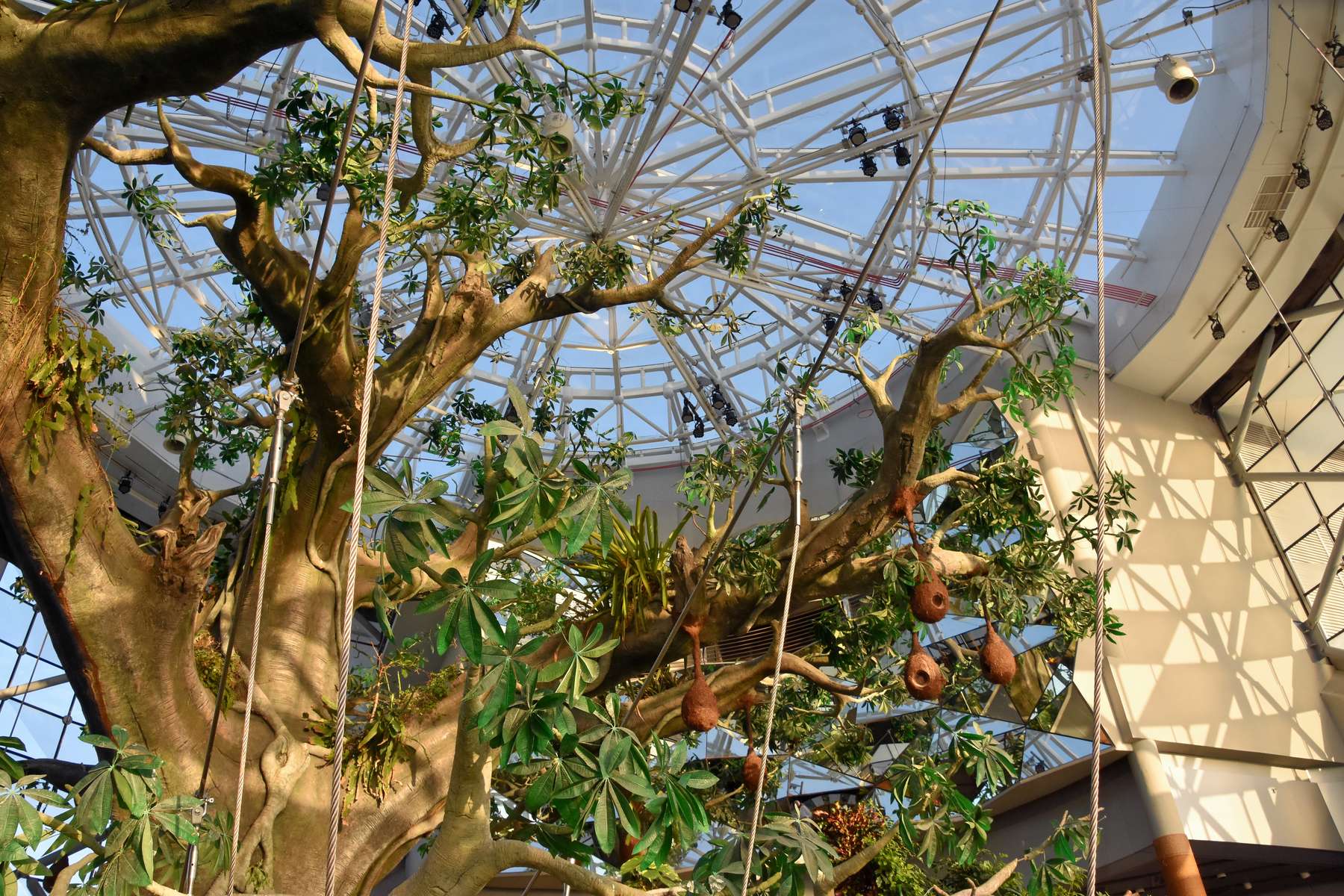 The Green Planet Dubai General Admission Tickets Image