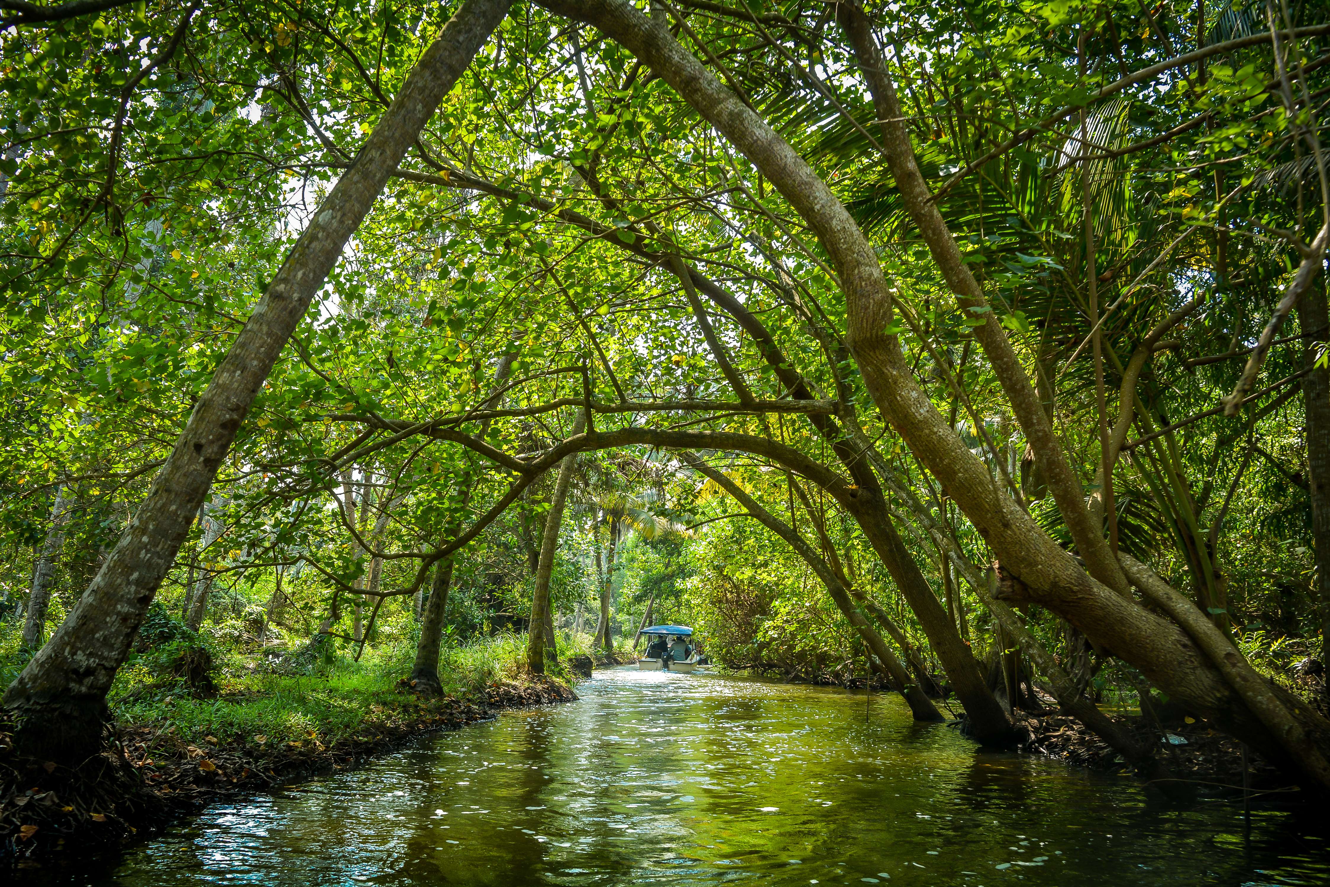 Explore the untouched beauty of Poovar Island on a 2-hour boat ride