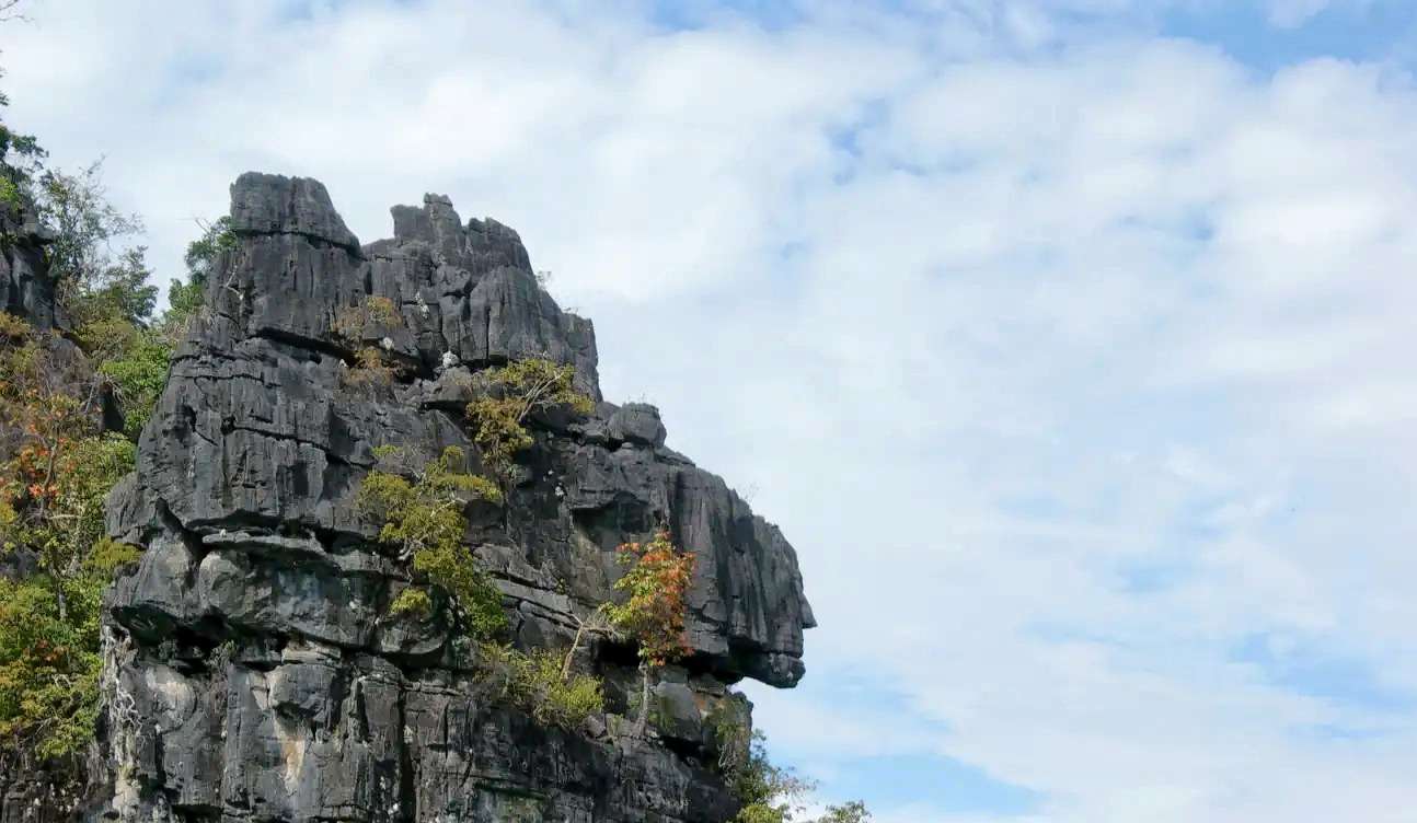 Langkawi Scooter Rental Package Image