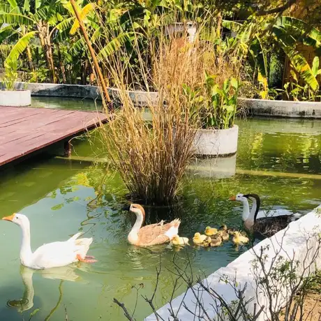 6hry6jqkue9cr9b12owhfdzh93xj df08d4eecbfb11eab9800242ac110002