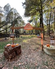 Lake Como Adventure Park Tickets