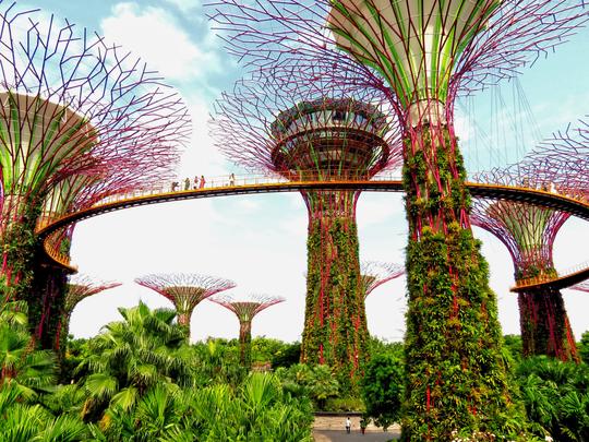 Gardens By The Bay and SEA Aquarium Singapore Combo Tickets Image