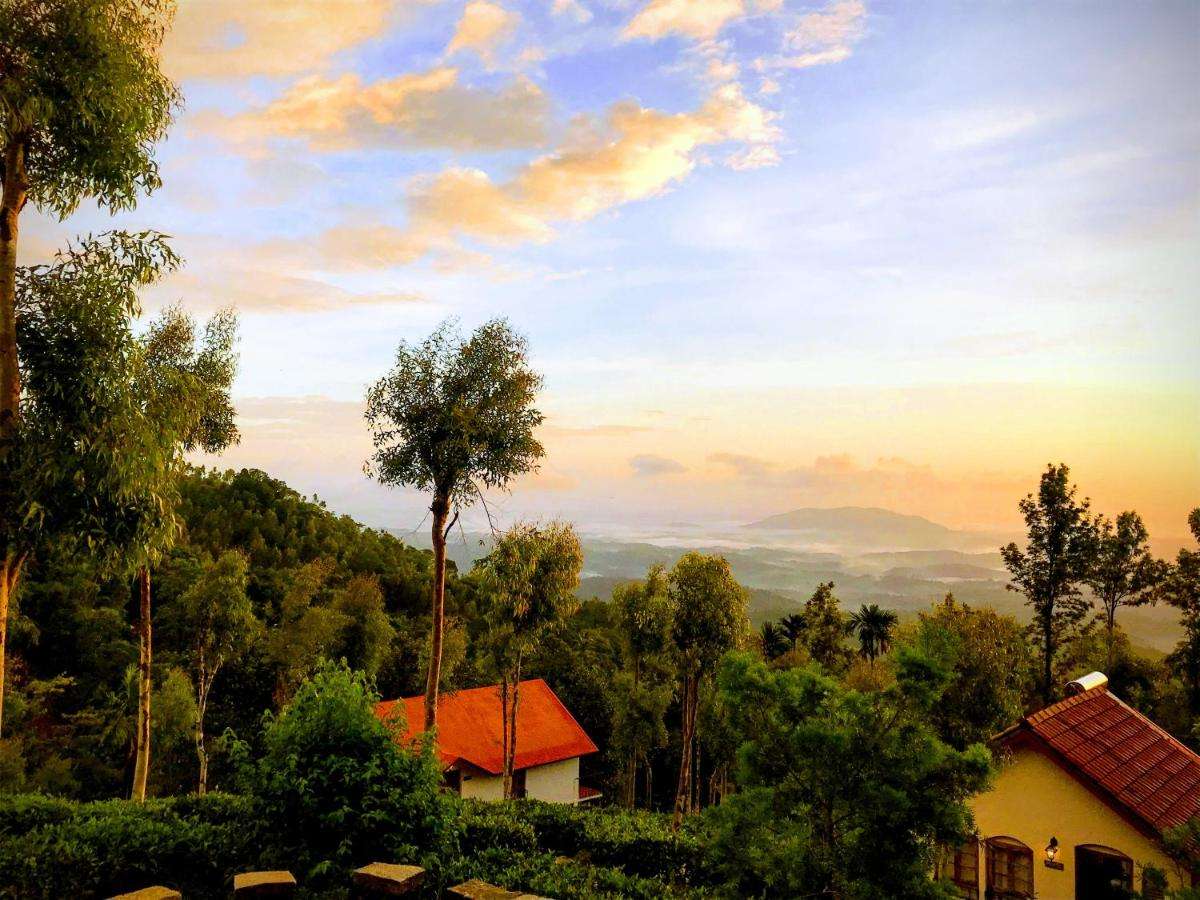 Tea Terrace Vythiri Image