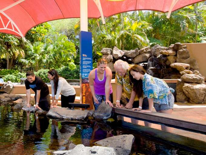 Explore open-air exhibits filled with fish native to Hawaiian waters at Sea Life 