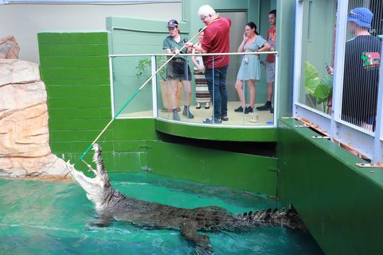 Big Croc Encounter VIP Tour Image