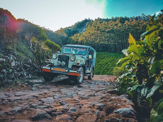 Camping in Munnar with Sunrise Jeep Safari Image