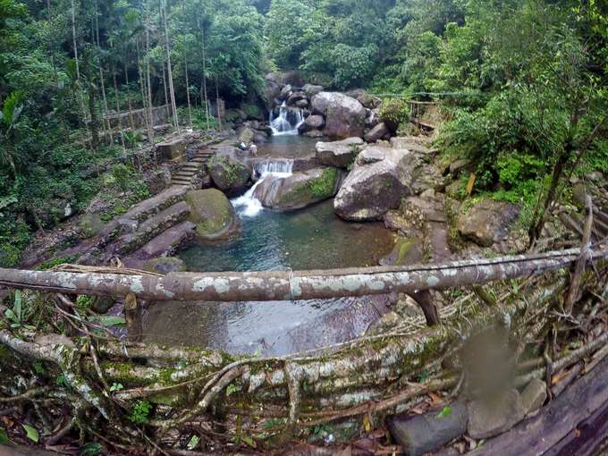 Living Root Bridge Trek Meghalaya