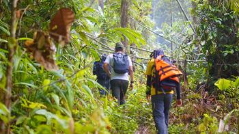 6rmn3lr89oeo4vxua9fmu0vy976w 1548935913 shutterstock 784320103