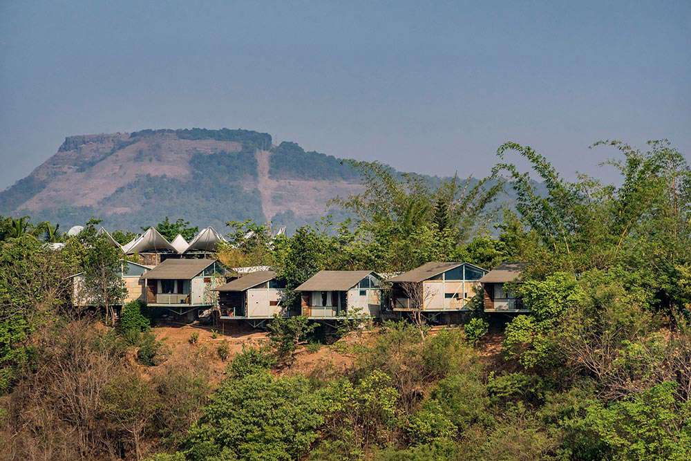 Aerial view of the homestay amidst dense forest