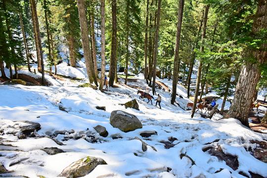 Amarnath Yatra Package From Delhi Image