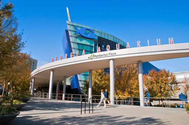 6u6ranmsrlr1fkqa1pxe8rwwe5nz georgia%20aquarium