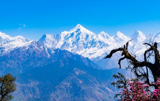 Auli Trip from Mussoorie | FREE Skiing Adventure Image