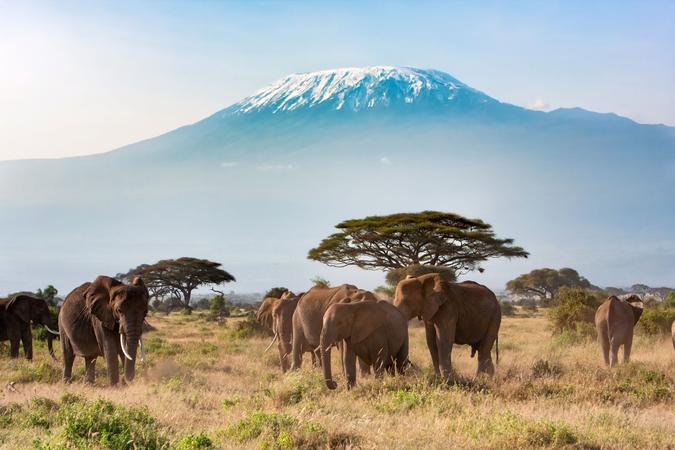 Amboseli National Park