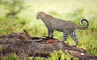Absheron National Park