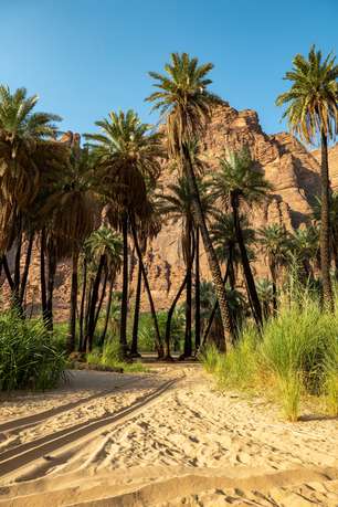 6ww9jaub6lggu0h7dm6b5c25pd73 shutterstock 1829350760