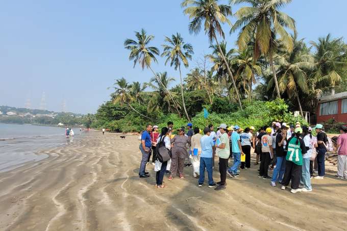 Explore Goa’s marine life on a peaceful beach walk
