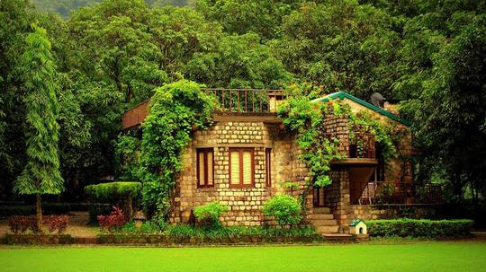 The Den Corbett Image