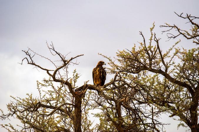 Marine National Park