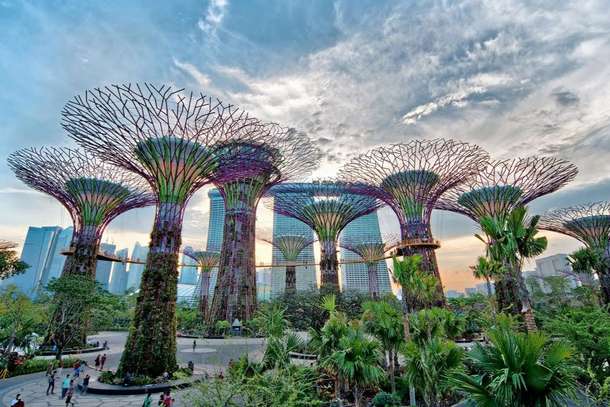 See the Supertree Grove covered by different plant species