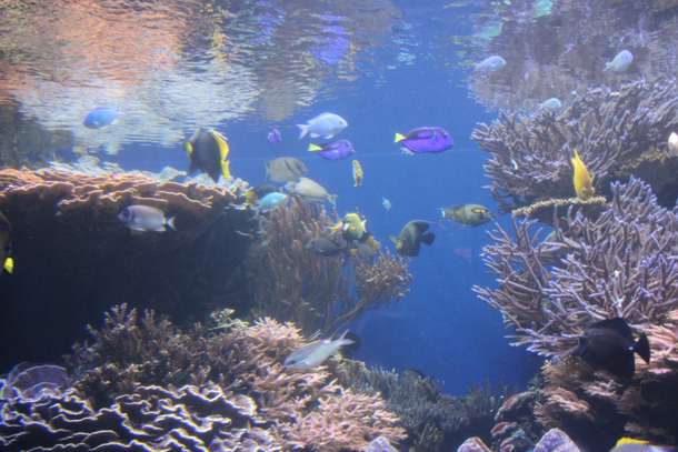 6zzgcufyvk21ls8mcr1eq0ikntxb shutterstock 1219548625