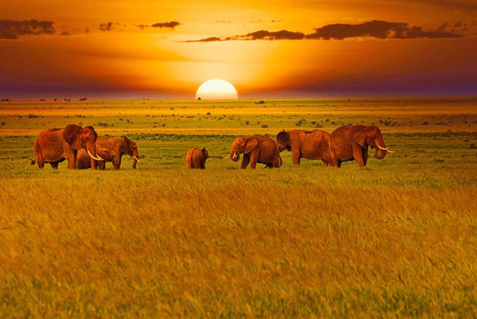Tsavo National Park