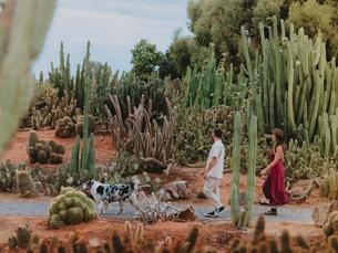 Cactus Country Garden Tickets, Strathmerton