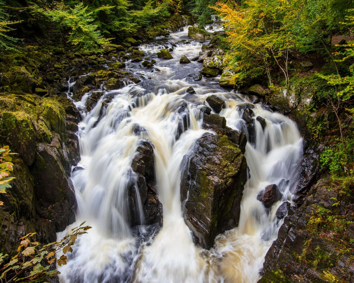 Scottish Highlands & Whisky full-day Tour from Edinburgh  Image