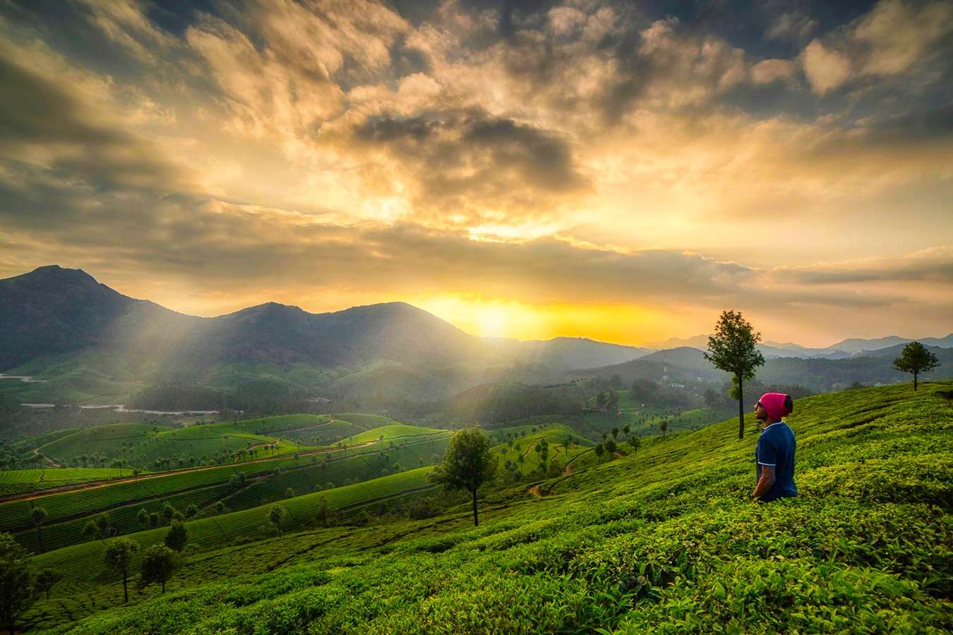 Explore Munnar’s lush tea plantations on an 8-hour sightseeing tour