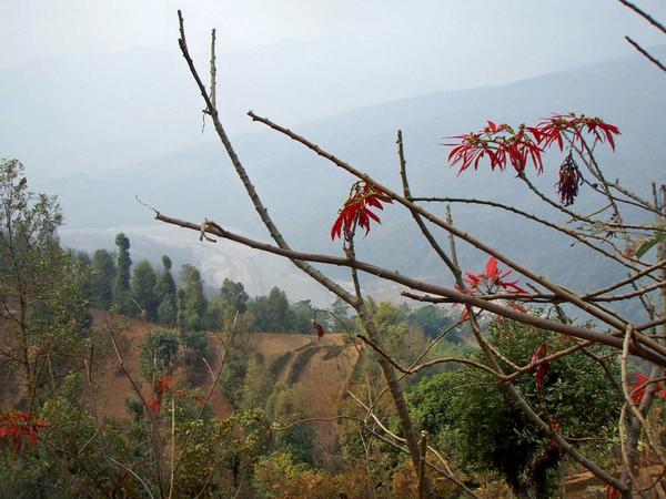 Arun Valley Trek
