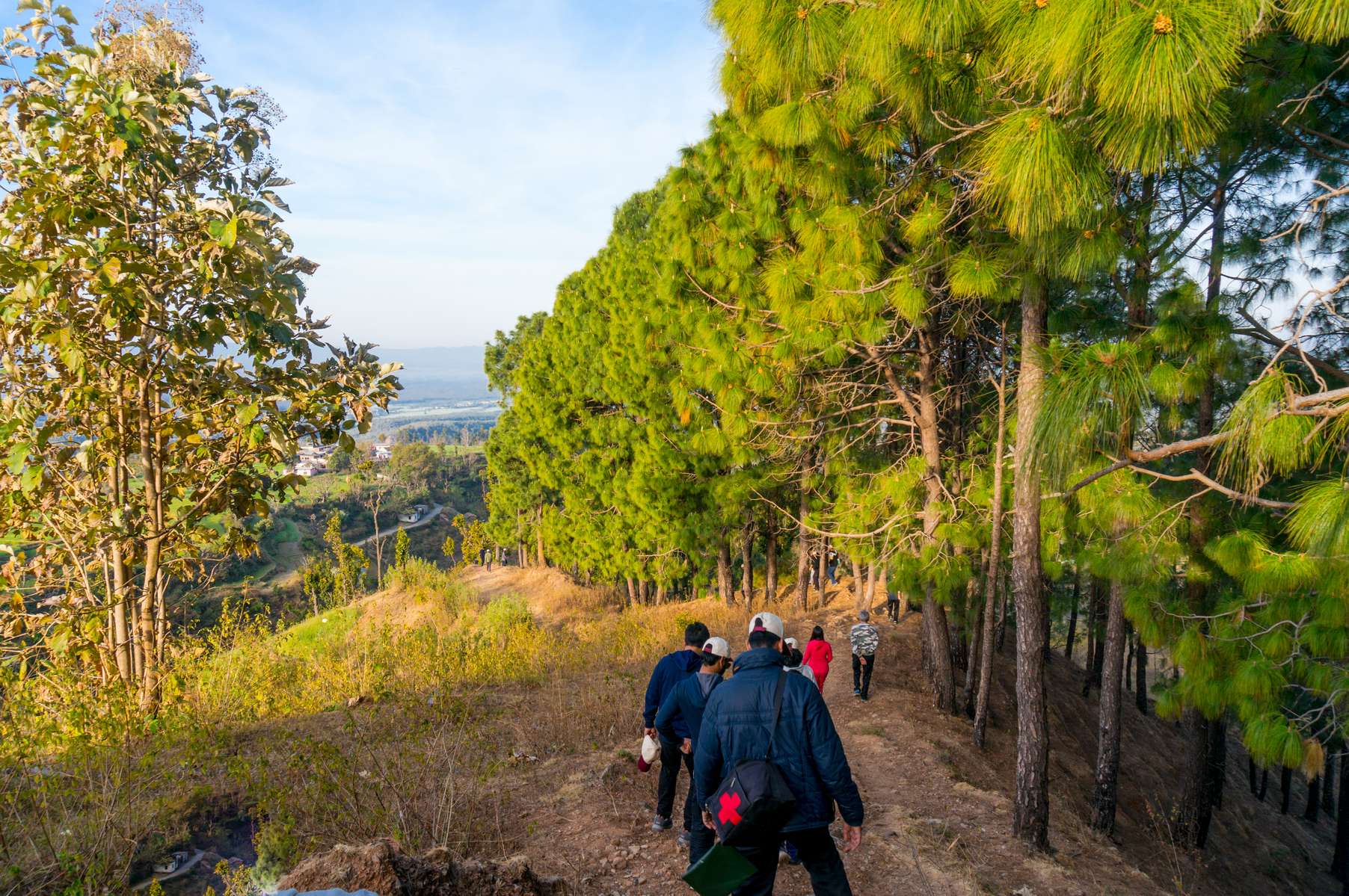 Forest Walk in Mussoorie Image