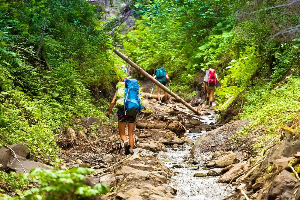 75p0tu5vrqtdpuqibnlnxnefjeo3 1564496850 shutterstock 184393109