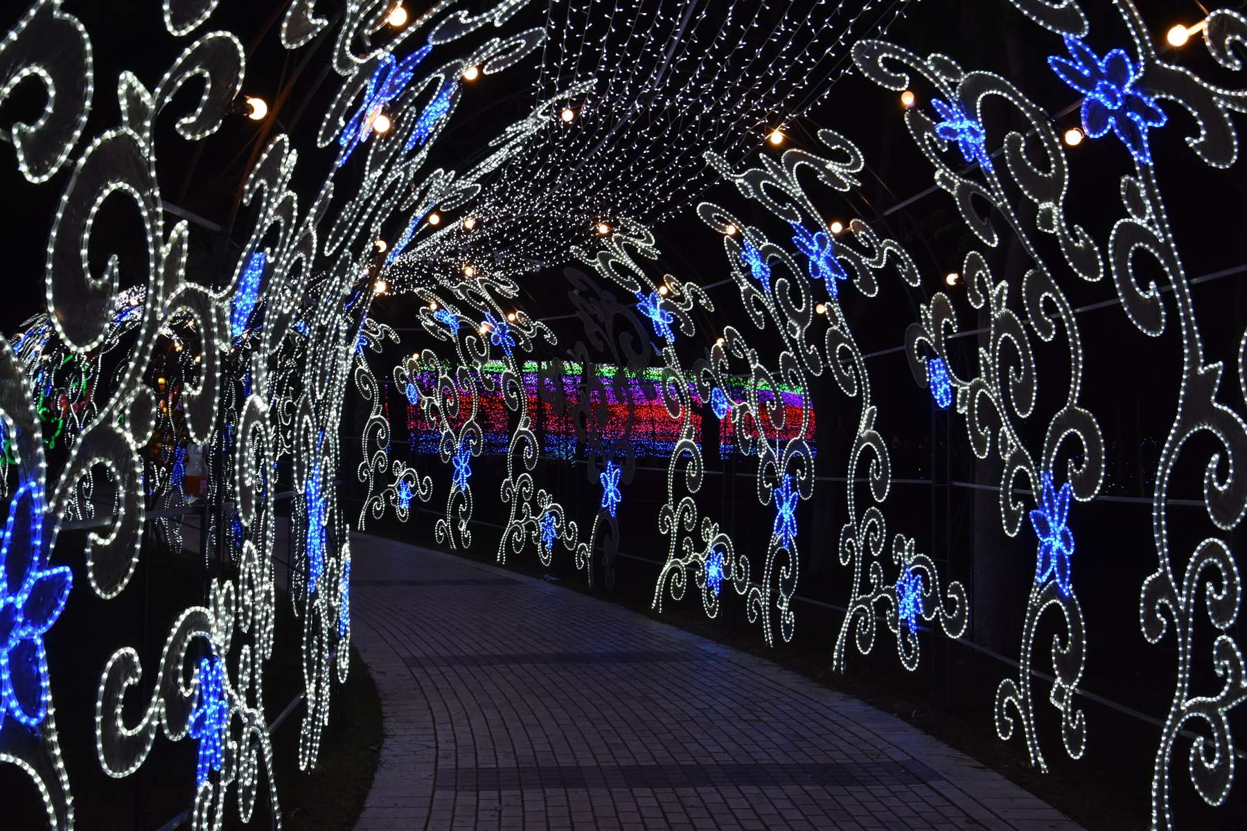 Dubai Garden Glow Tickets Image