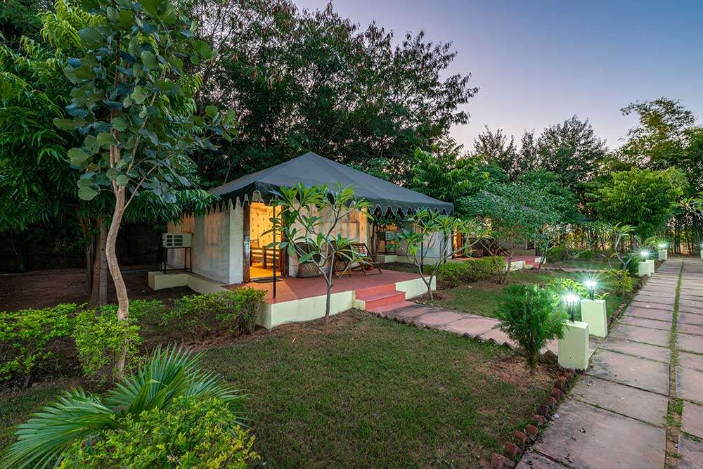 Jungle Cave Resort Image