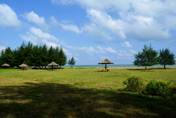 Visit to Dhaninallah Mangrove Nature with Kalipur Beach