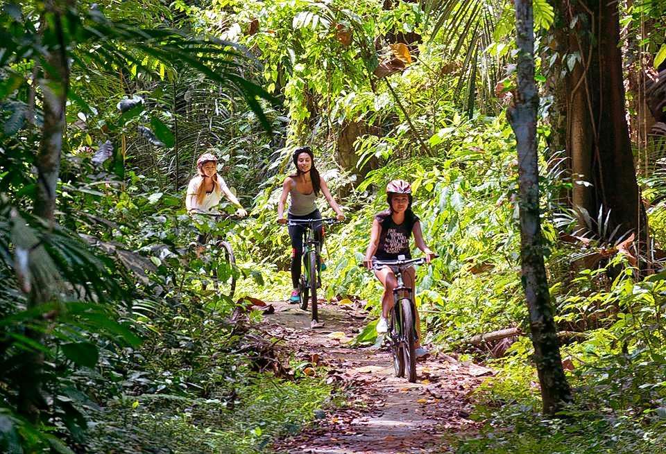 Mountain Cycling and Elephant Safari  Image