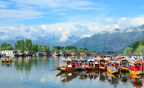 77pb1hewtplgzsqymd2kgg984j5y dl.beatsnoop.com 3000 qicyqw59eh