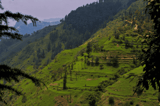 78negq08vcvipyg8d3t4hq6jzxu1 oyo 61365 hassan valley