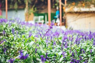 797soxszyuqtihesc76f9igetxd7 24628128681 2d37ed87fc o