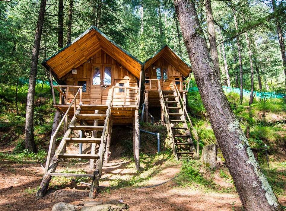 An Adventurous Tree House Near Shimla Image