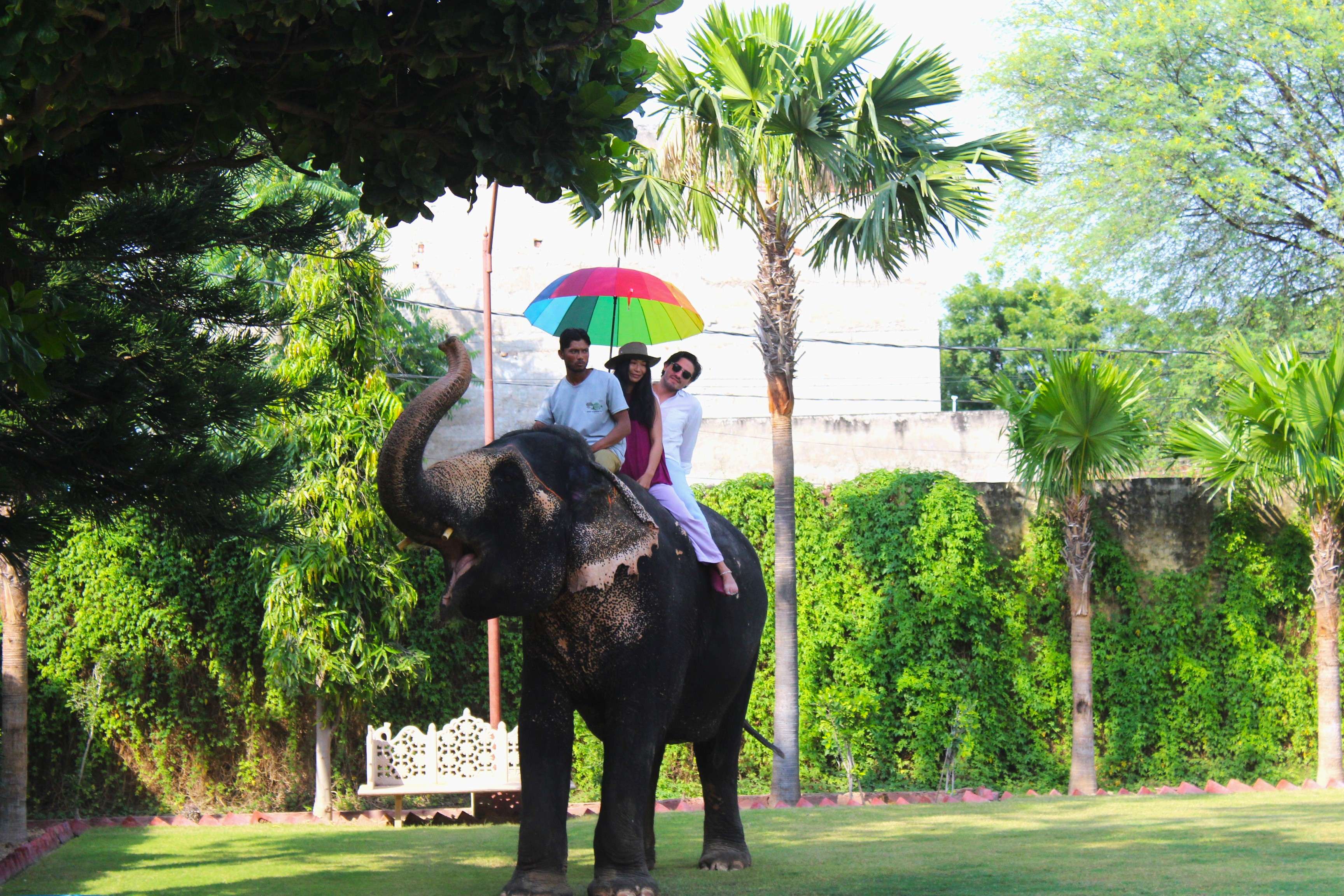 Take a calm 15-minute ride with trained staff nearby