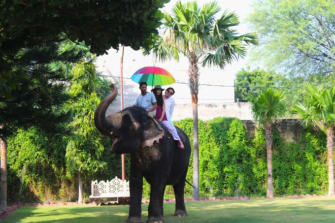 Take a calm 15-minute ride with trained staff nearby