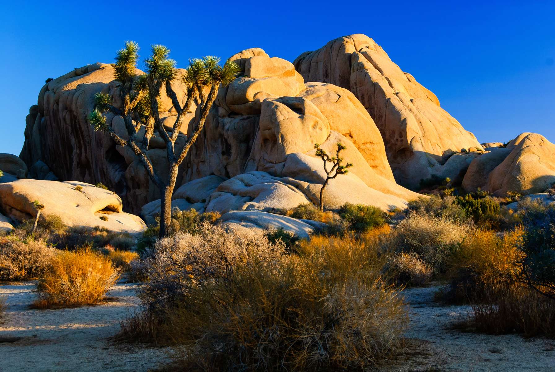Grand Canyon West Rim Tour with Skywalk from Las Vegas Image