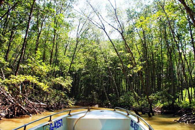Can Gio Mangrove Biosphere Reserve