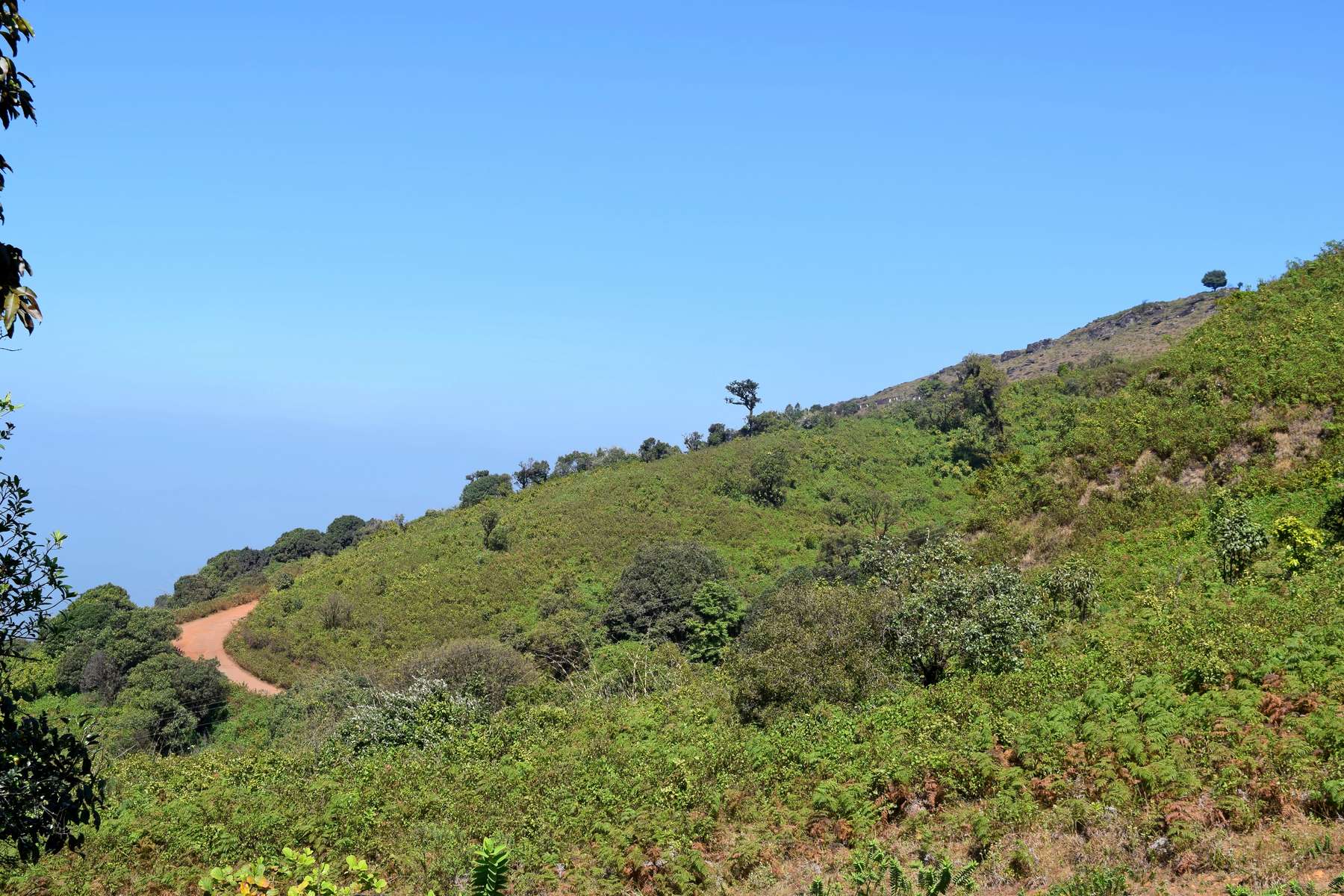 Offroad Jeep Safari To Mullayanagiri Image