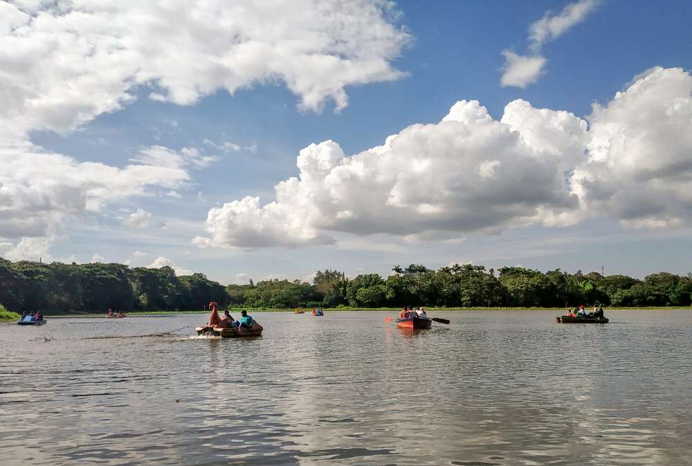 Bangalore to Mysore Tour Package Image